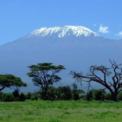 Kilimanjaro