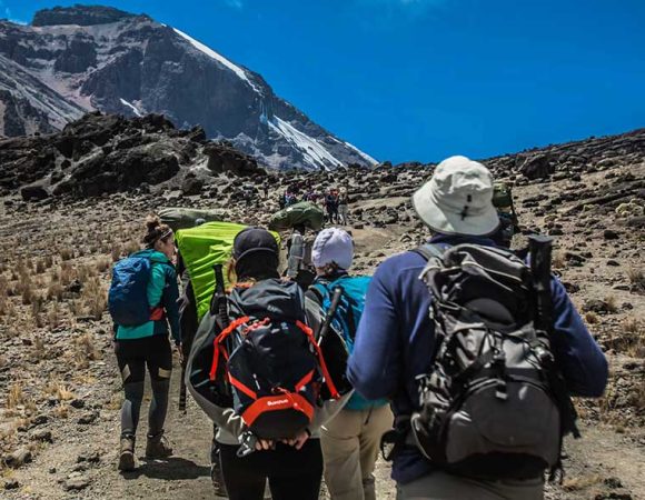 Umbwe Route 6 Days Mount Kilimanjaro